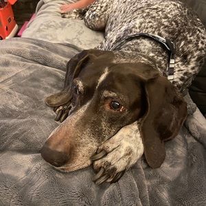 Meet your Posher, Scott